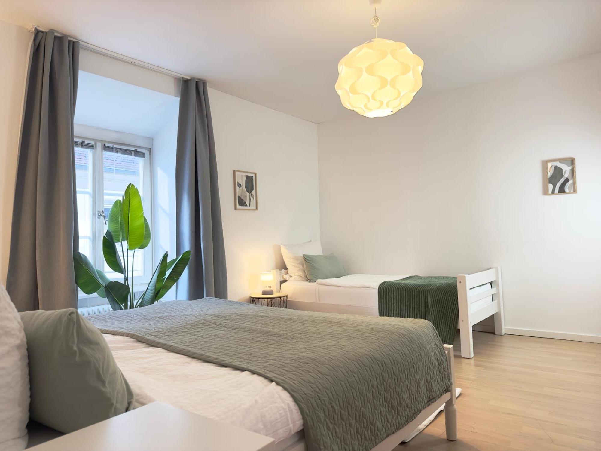 Luxury Old Town Suite - Xxl Terrasse & Xxl Penthouse Heidelberg Esterno foto